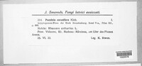 Image Associated With the Occurence